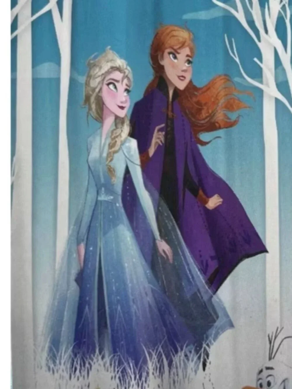 NWT Disney Frozen Elsa Anna Olaf Fabric Shower Curtain Hooks Set 13 Pc